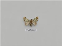 藏品(夜蛾617)的圖片